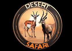 desert safari